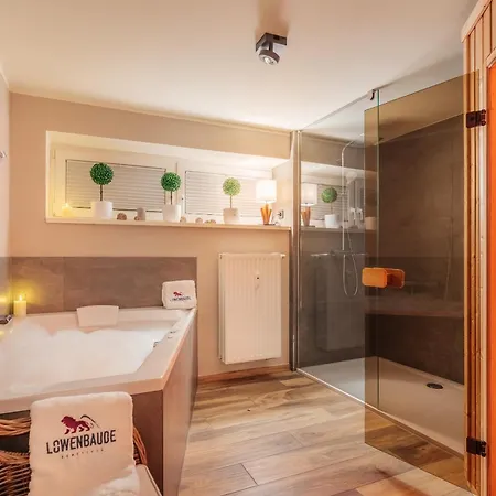 Baude Vi - Loewenbaude برونلاغ