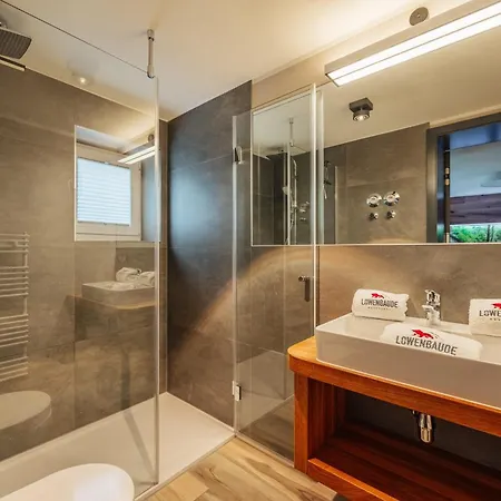 Baude Vi - Loewenbaude Апартаменты