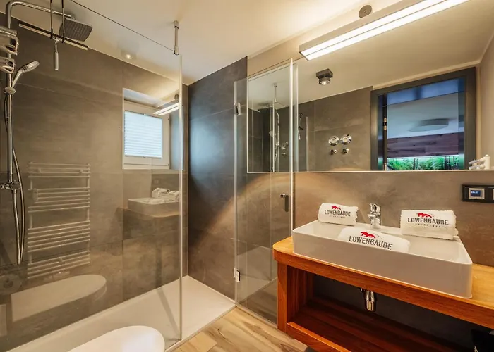 Baude Vi - Loewenbaude Apartman