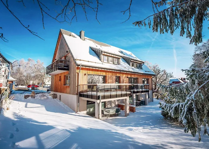 Apartman Baude Vi - Loewenbaude *