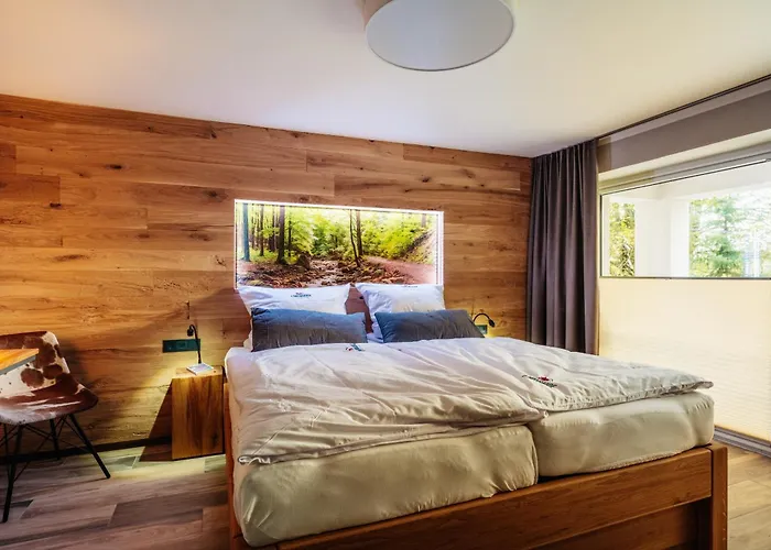 Baude Vi - Loewenbaude Apartman *