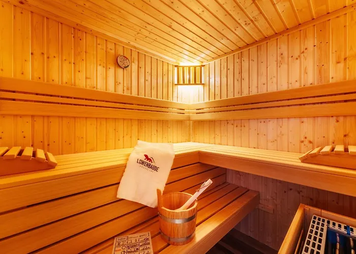 Baude Vi - Loewenbaude